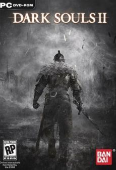 DARK SOULS II: Bundle Steam Key GLOBAL